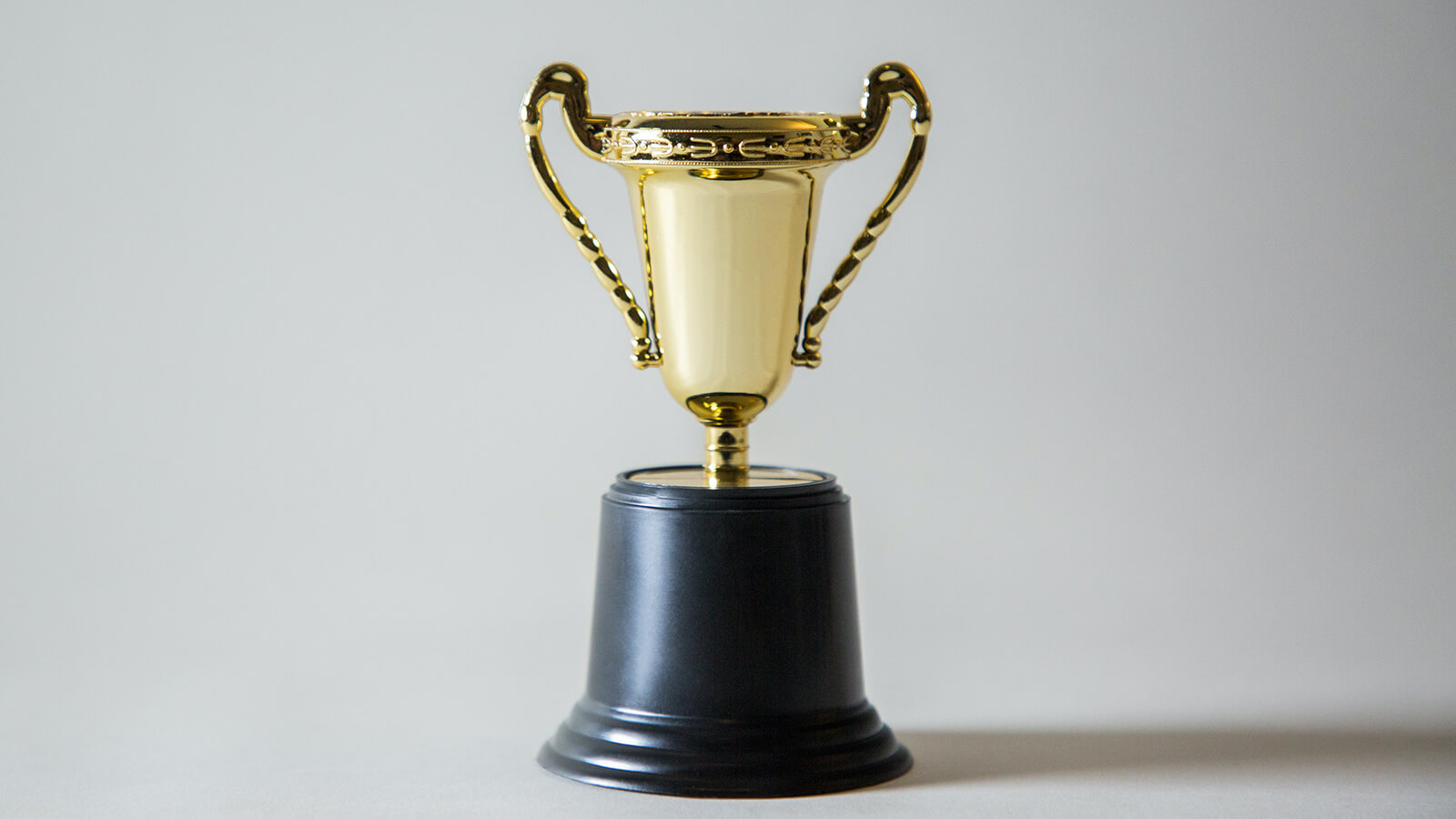 Social Work and Business Association